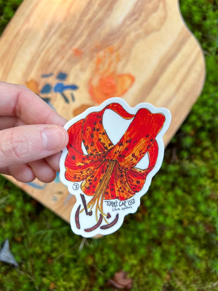 Martagonlilja - botaniskt vildblomsklistermärke för wholesale av Designs by Tris