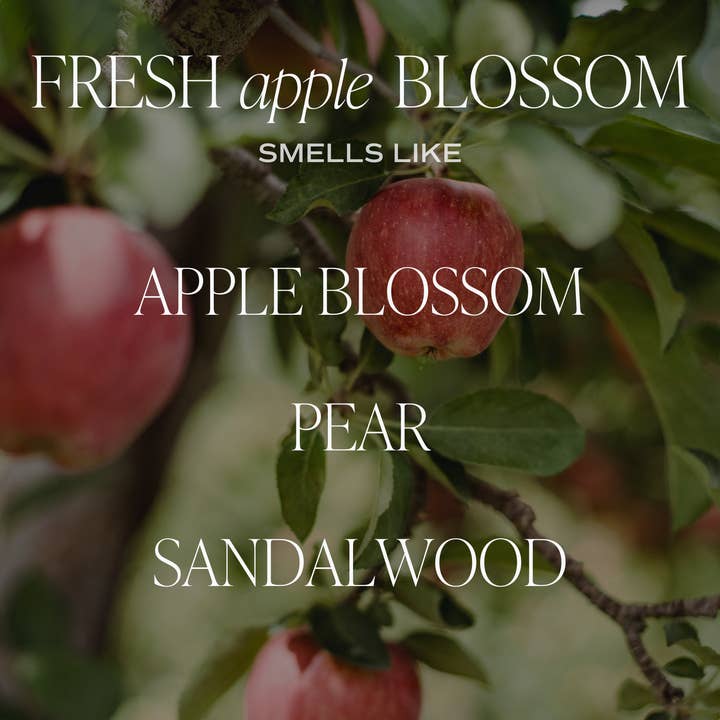 Sweet Water Decor - Wholesale Jar/Filled Candle - Fresh Apple Blossom 11 oz Soy Candle - Home Decor & Gifts