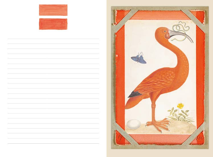 ikonink - Wholesale Journal/Diary - Couleurs Nature Illustrated Journal1