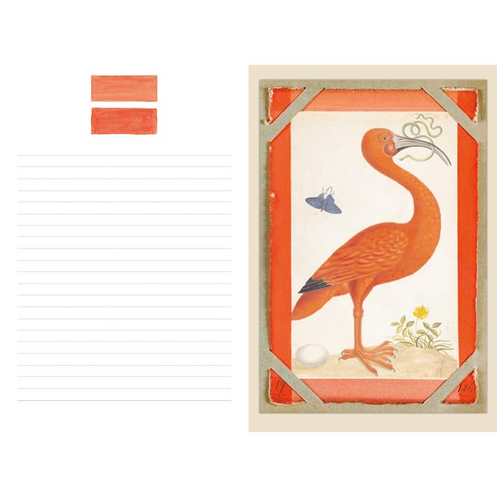 ikonink - Wholesale Journal/Diary - Couleurs Nature Illustrated Journal1