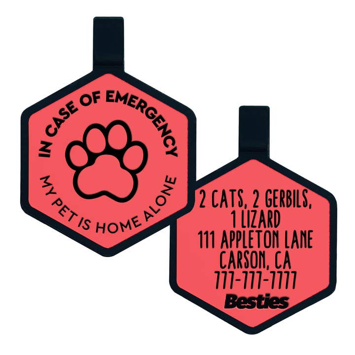 Porte-clés d'alerte d'urgence My Pet Is Home Alone pour la vente par Besties Pets