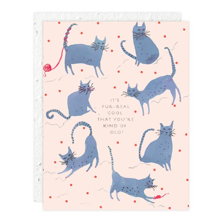 Playful Cats - Birthday Card for wholesale by Seedlings