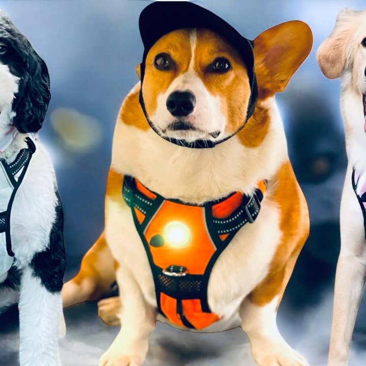 Headlight Harness - Wholesale Pet harness – Dog - Headlight Harness LED Reflective Dog/Cat Harness5