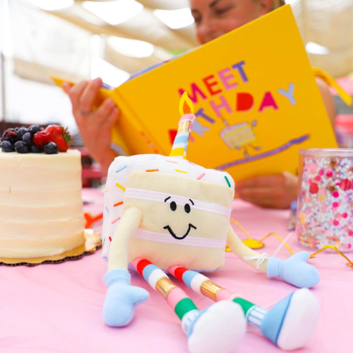 Packed Party - Wholesale Preschool Book (3-5) - Meet Birthday: A Story of How Birthdays Come to Be3