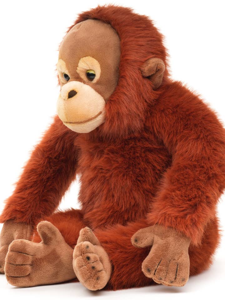 Orangutan with Velcro - 27 cm (Height) - Plush Toy for wholesale by Uni Toys
