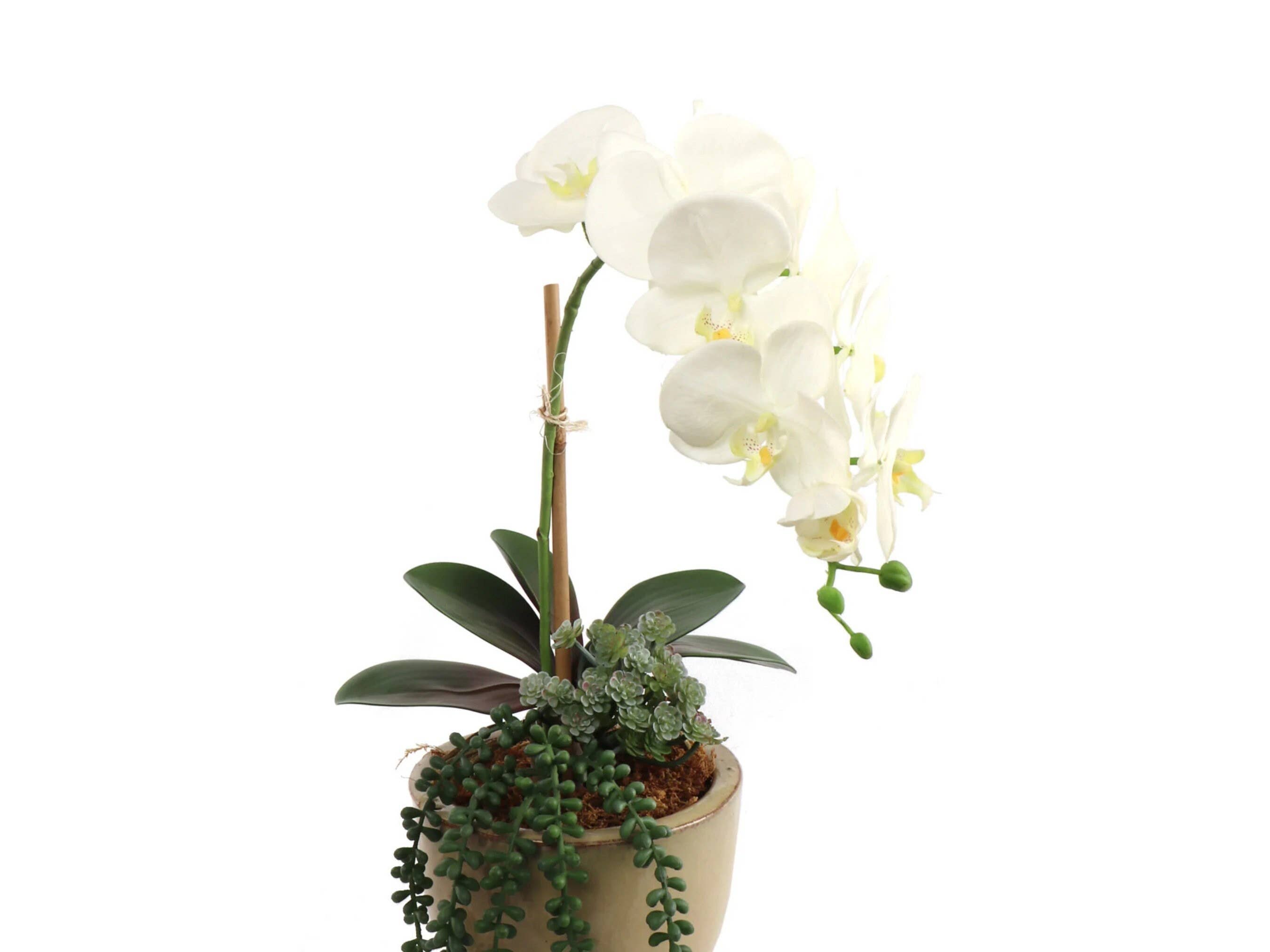 Larksilk – wholesale Konstgjorda blommor – 29" Vit Phalaenopsis Orkidéstjälk med 9 Blommor & 3 Knoppar3