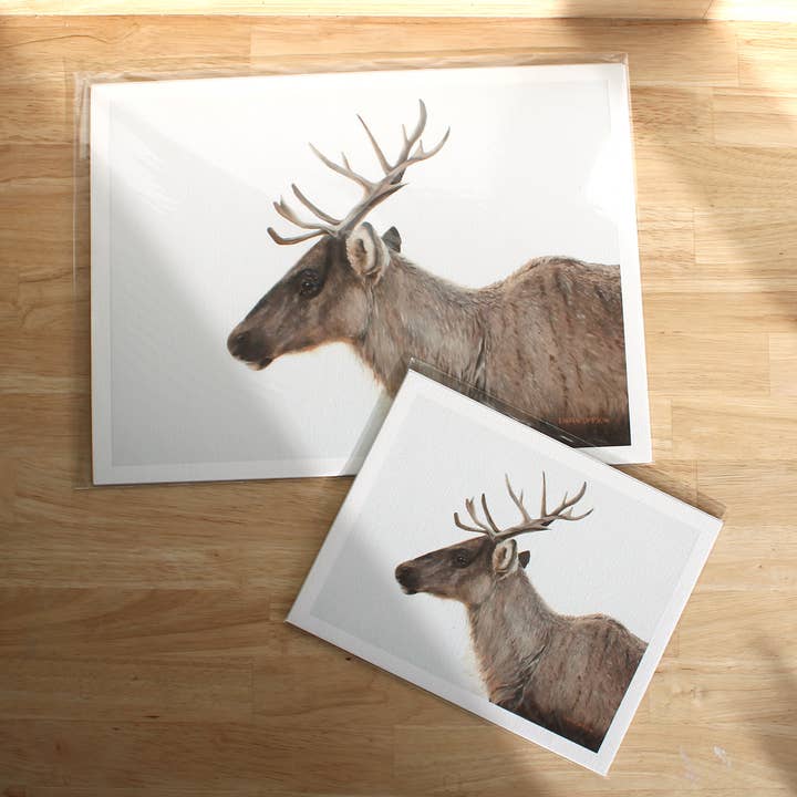 Tok Caribou Print for wholesale by Lauren Simpson Art