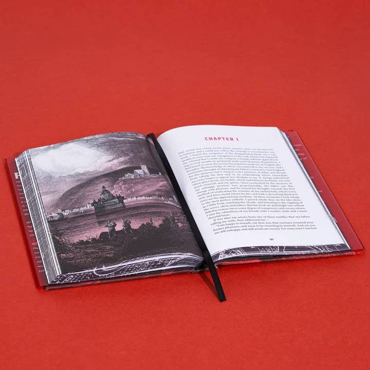 Hachette Book Group - Wholesale Classics - Frankenstein (Deluxe Edition) by Mary Shelley10