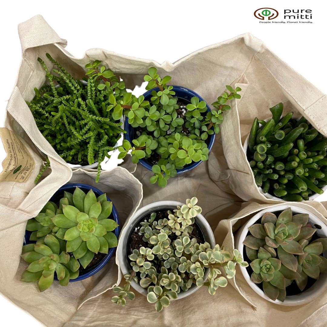 Pure Mitti - Wholesale Tote Bag - Unisex - Sustainability Love:Multi-Pocket Cotton Grocery Tote Natural3