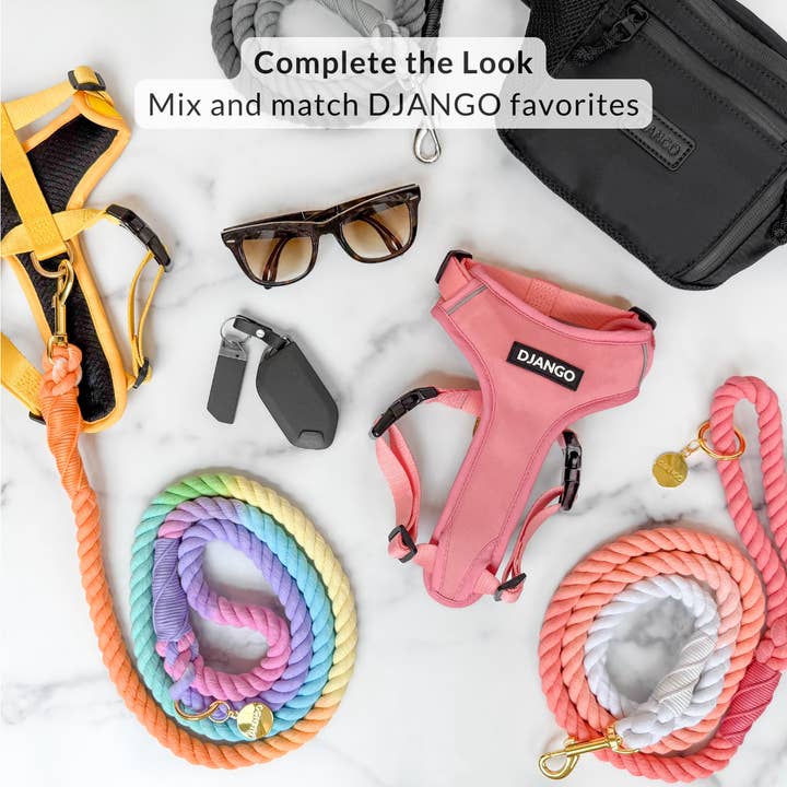 DJANGO - Wholesale Pet Leash - Dog - Cotton Rope Dog Leash - Sunrise Ombré6