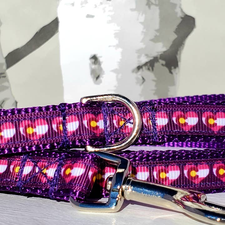 Rocky Mountain Hound - Wholesale Pet Collar - Dog - 1/2" Pink or Purple Colorado Dog Collar, Leash, or Harness