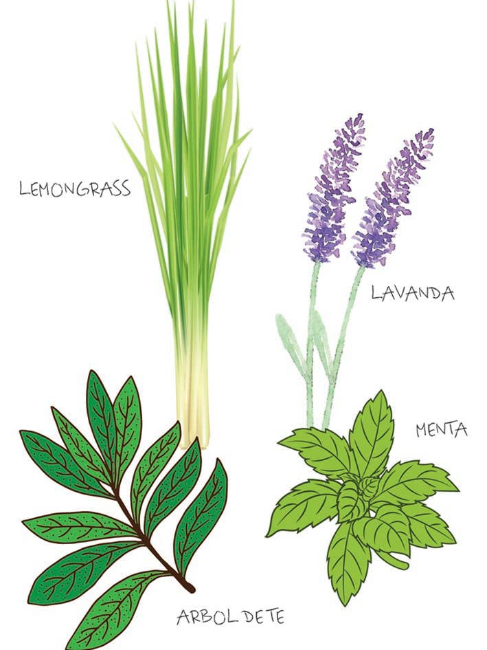 El Yoga Mola – Großhandel Yogamatten-Reiniger – Eco natürlicher Mattenreiniger1