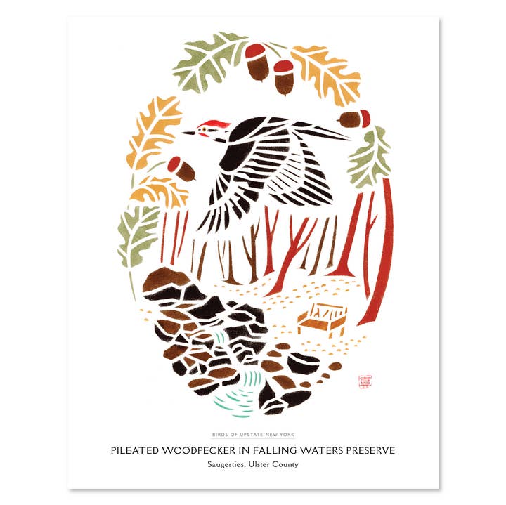 Mayuko Fujino Bird & Nature Art - Wholesale Art Print - Art print: Pileated Woodpecker in Falling Waters Preserve0