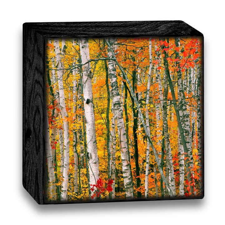 Illustrated Light & DC Designs - Wholesale Decorative Tabletop Object - Art Blocks-WMK26AB0