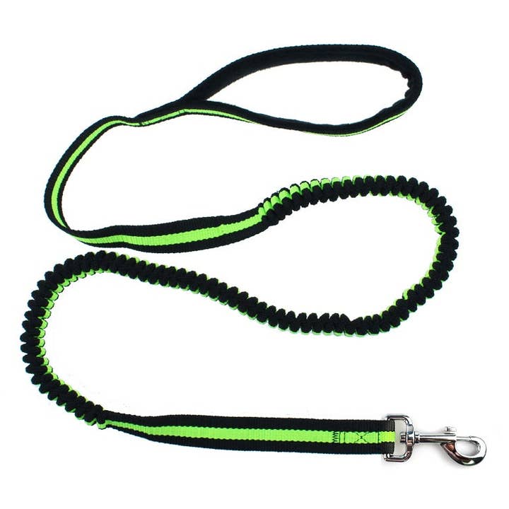 Paws & Son™ Activo - koiran joustohihna para venta al por mayor de Paws & Son