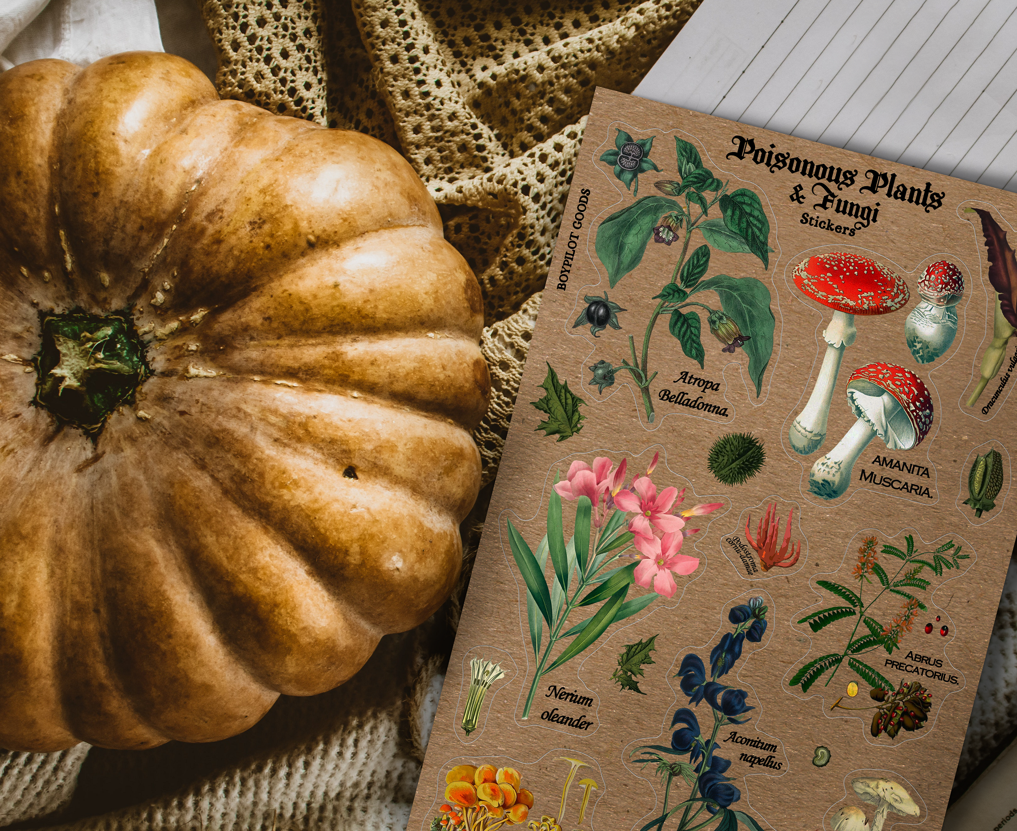 BoyPilot Goods - Wholesale Sticker - Vintage Sticker Sheets - Fairytales, Horror, Alchemy, Nature6