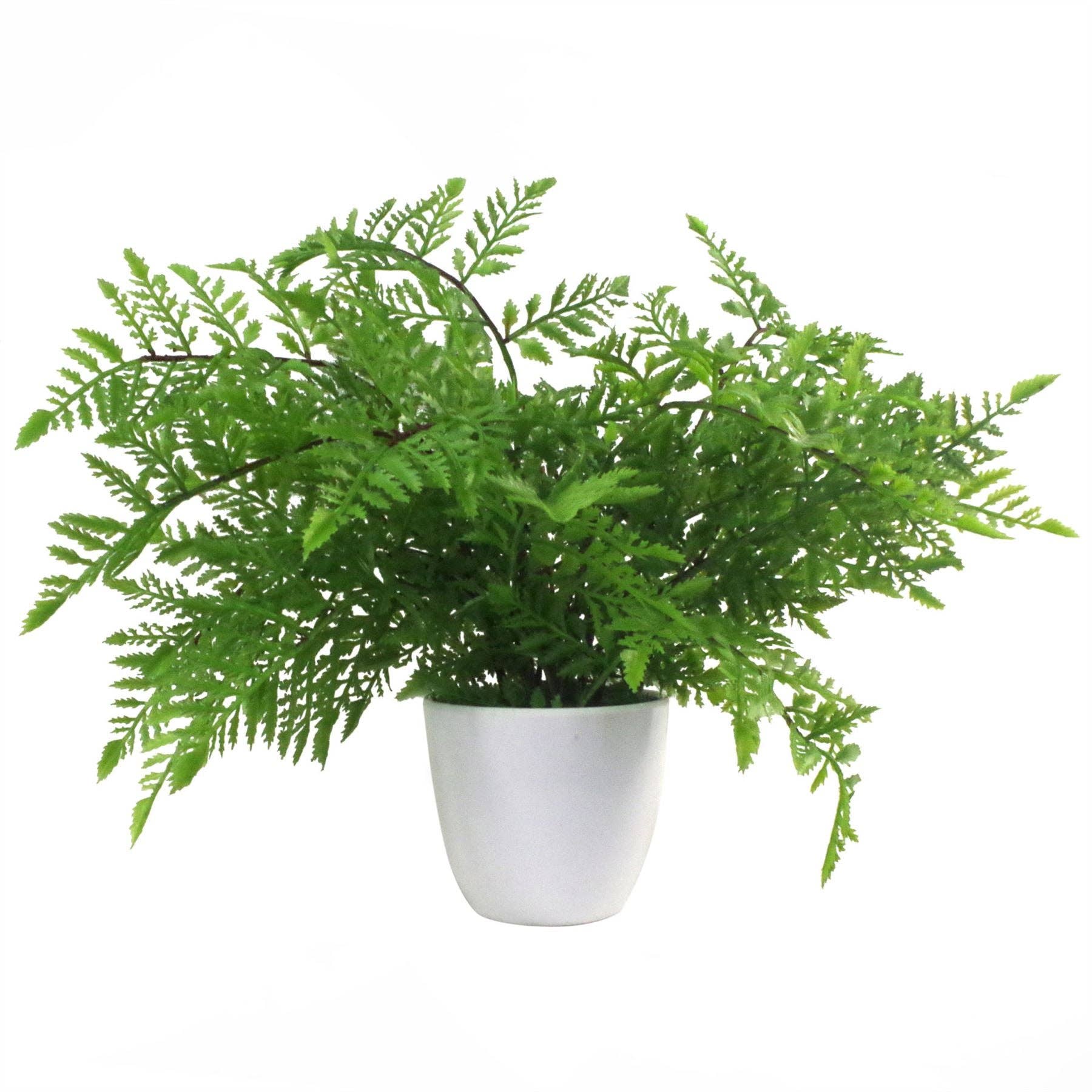 Leaf Design UK LTD – Engroshandel Kunstig plante – Kunstige bregner Planter Pakke 3 x 30 cm Botanisk Bregne 30cm4