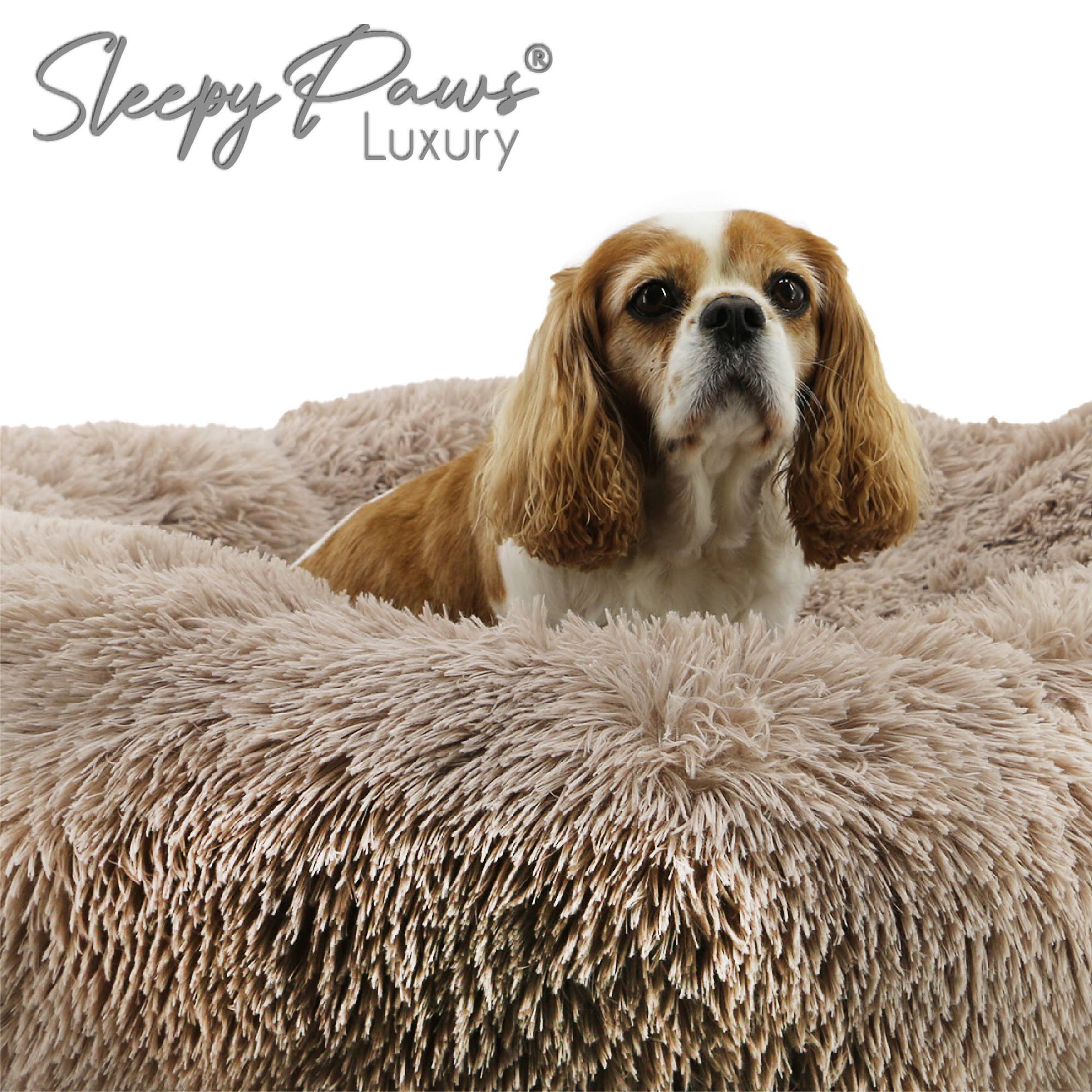 Ancol Pet Products Ltd - Wholesale Pet Bed - Dog - Super Soft Plush Donut Dog Bed Oatmeal3