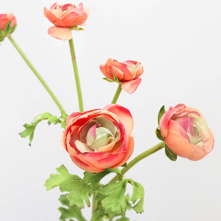 Prestige Botanicals - Wholesale Artificial Flowers - Real Touch Coral Ranunculus 22”