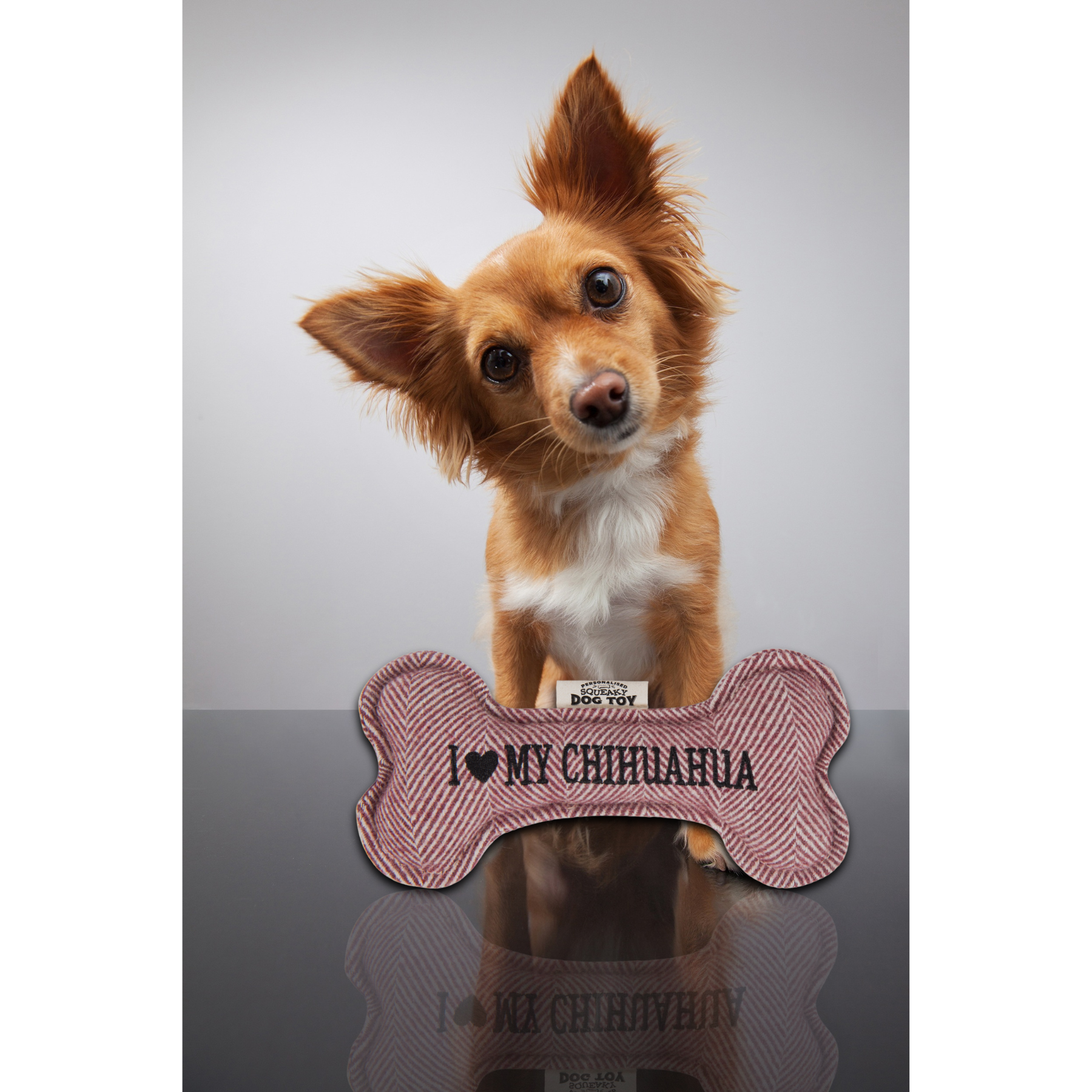 The H&H Group - Wholesale Pet Squeaky Toy - Dog - Dog Squeaky Toy Display + Stock1