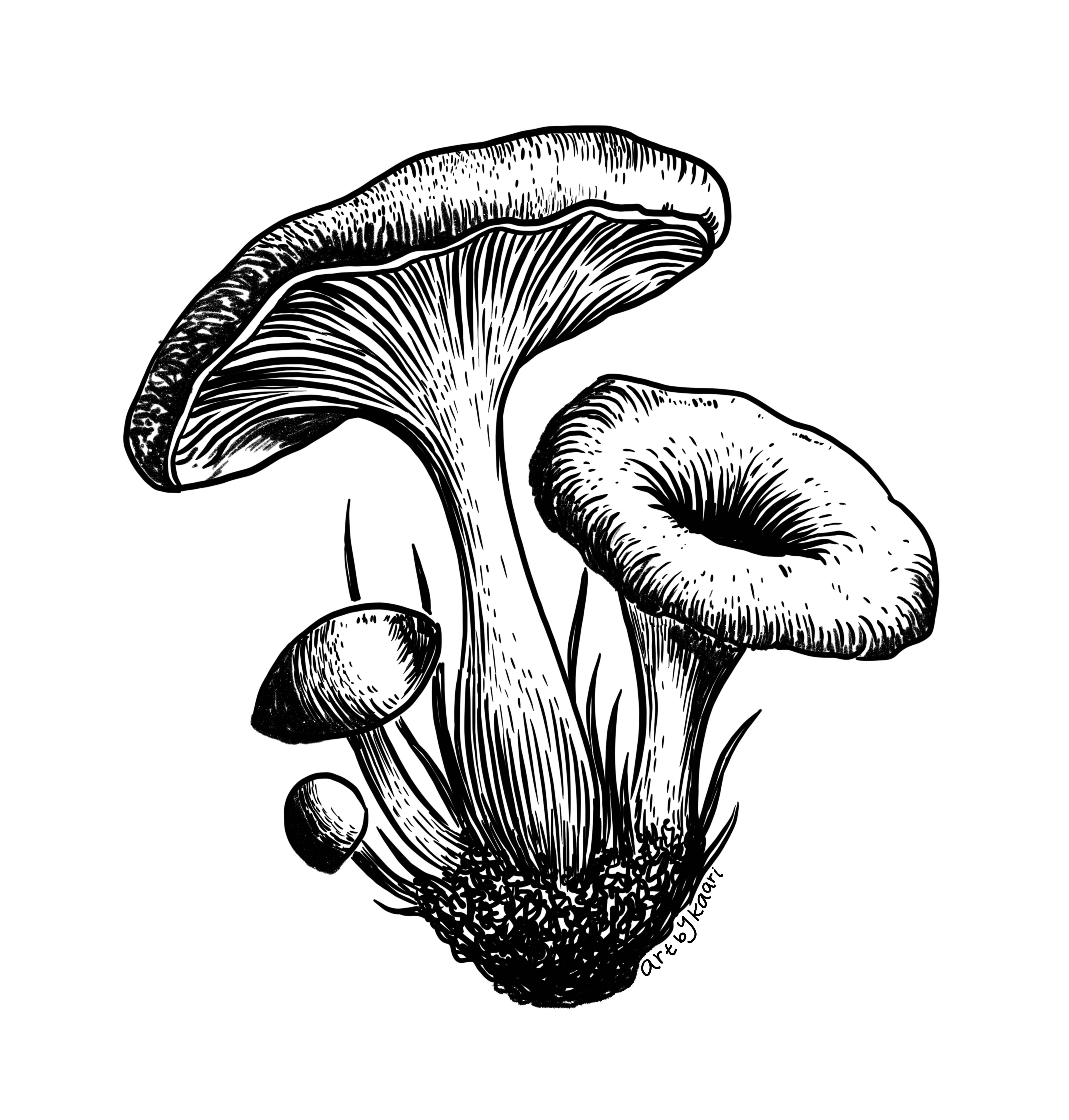 Kaari & Co. - Wholesale Sticker - Mushroom VIII, waterdichte natuursticker1