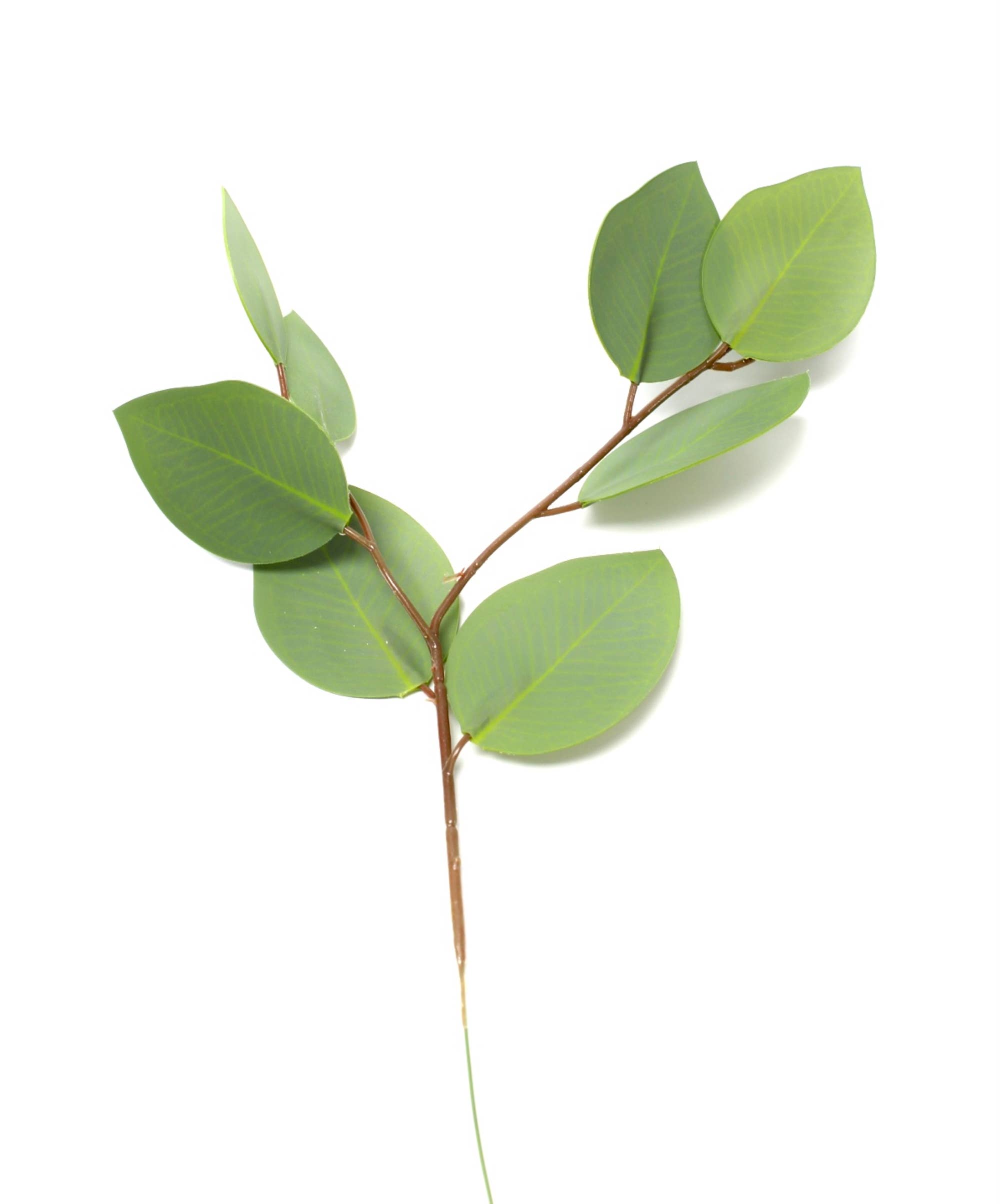 Angel Isabella - Wholesale Artificial Plant - 14"-Small Soft Touch Artificial Eucalyptus Stems1