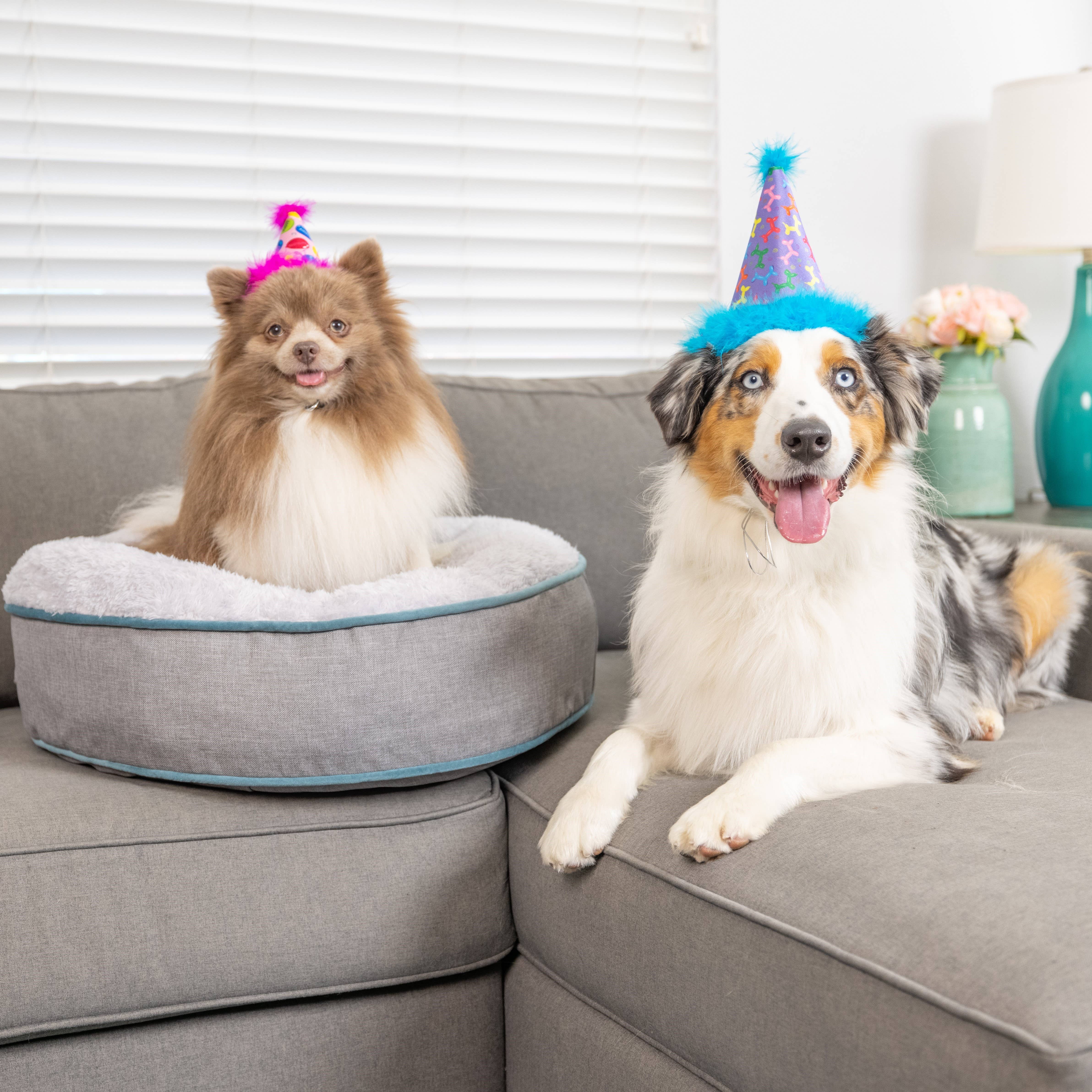 Huxley & Kent - Vente Chapeau – chien - Chapeau de fête rose Party Time avec SnugFit®7