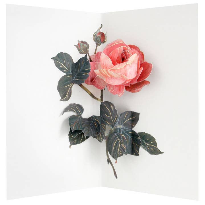 3D Pop-up Card-Rose for wholesale by Vevoke