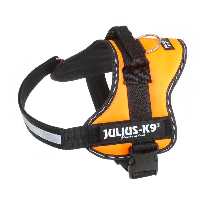 JULIUS K9 Power Harnas Oranje voor wholesale door SAS DISTRIDOG PRODOG & CO