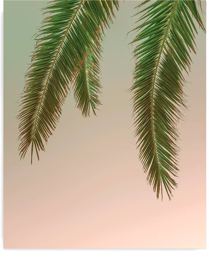 Stormigt palmträd för wholesale av Wilder California