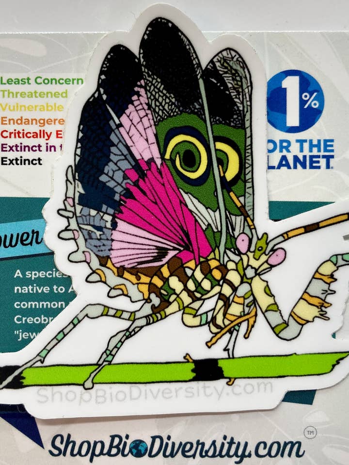 Flower Mantis Sticker - Nature-Inspired Art for wholesale by Shop BioDiversity