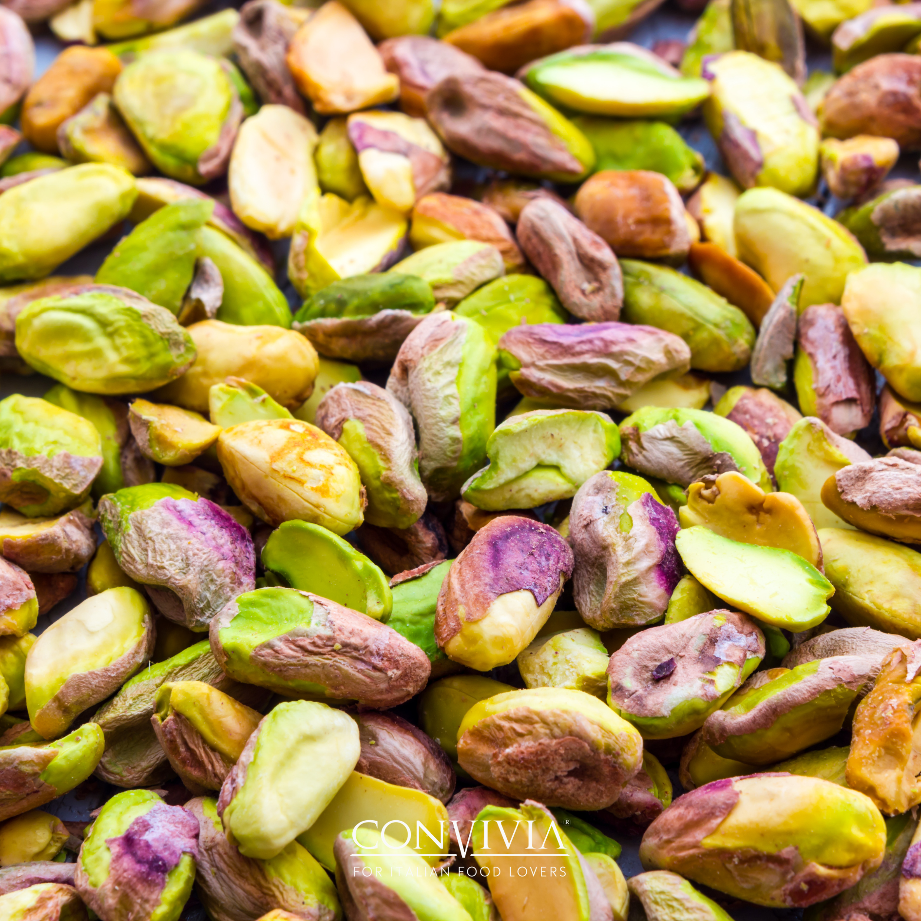 CONVIVIA for italian food lovers – Engroshandel Nøddesmør – Økologisk pistaciesød fløde 190 g3