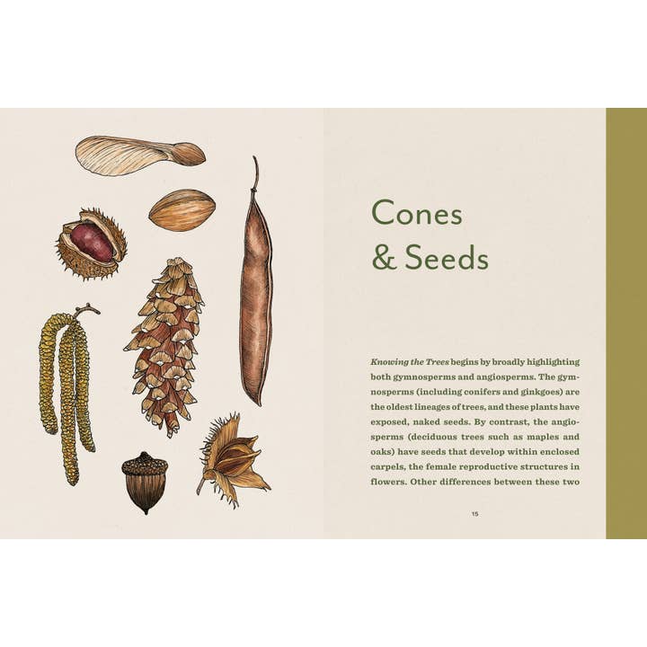 Mountaineers Books – wholesale Natur- och friluftsbok – Knowing the Trees – En fängslande guide till skogens livscykel9