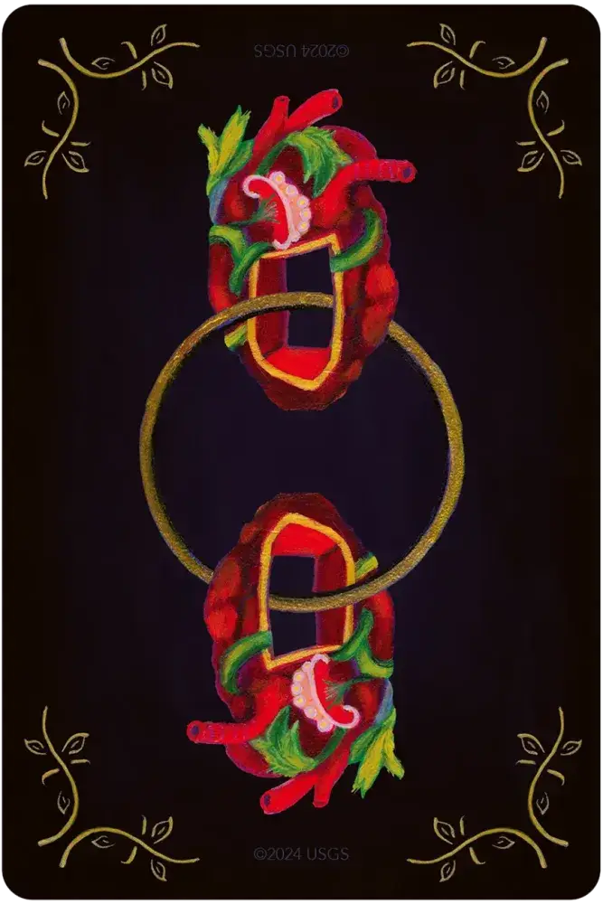 U.S. Games Systems Inc. - Wholesale Tarot Cards - Tarot of H'Arts8