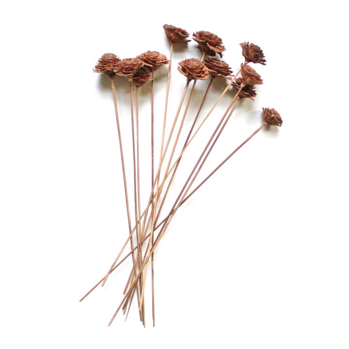 Natural Cedar Rose on Stem for wholesale on Faire