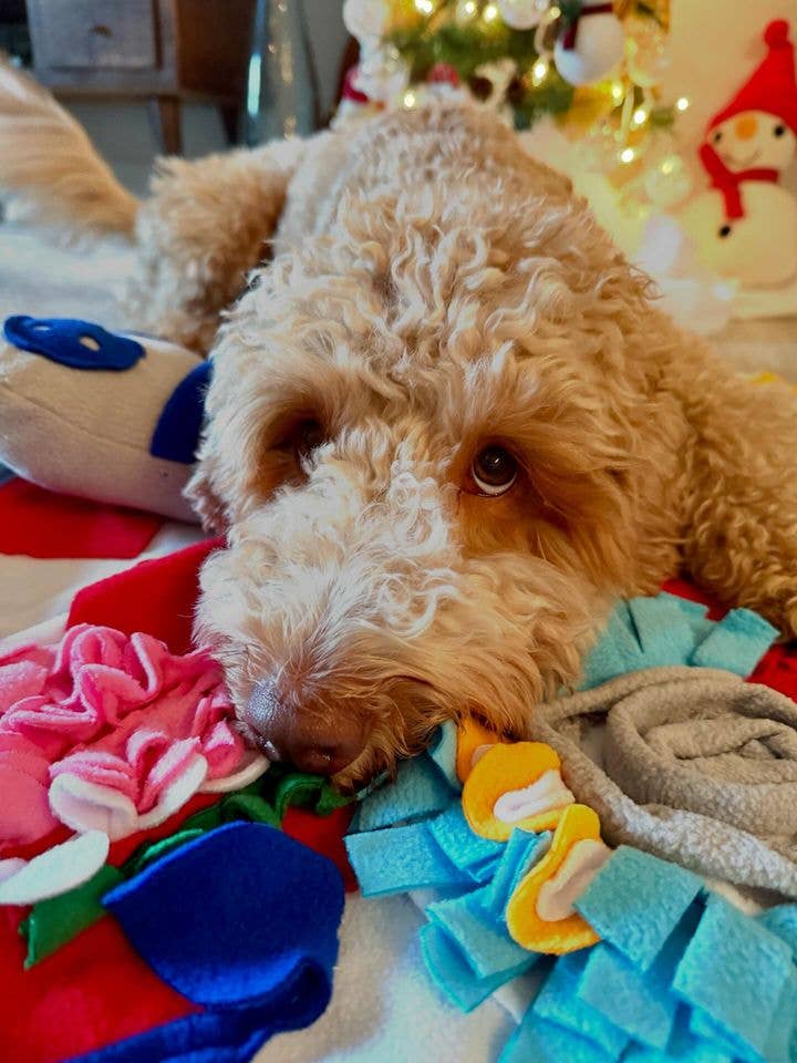 LUFTPETS - Wholesale Pet Mat - Dog - Red Bone Snuffle Mat for Dogs – 24" Squeaky Enrichment Toy12