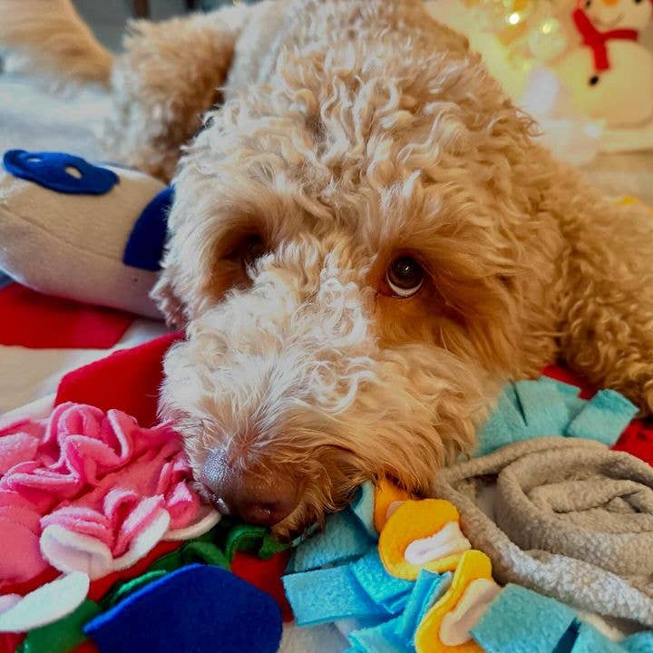 LUFTPETS - Wholesale Pet Mat - Dog - Red Bone Snuffle Mat for Dogs – 24" Squeaky Enrichment Toy12