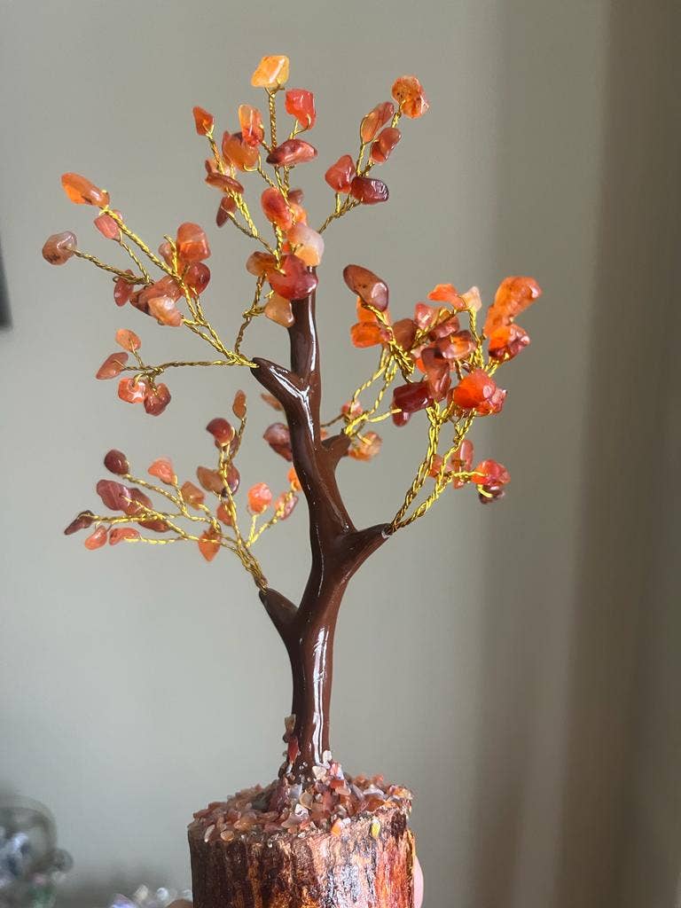 jiomind - Wholesale Spiritual Stone/Crystal - Red Carnelian Crystal Tree (100 chips)5