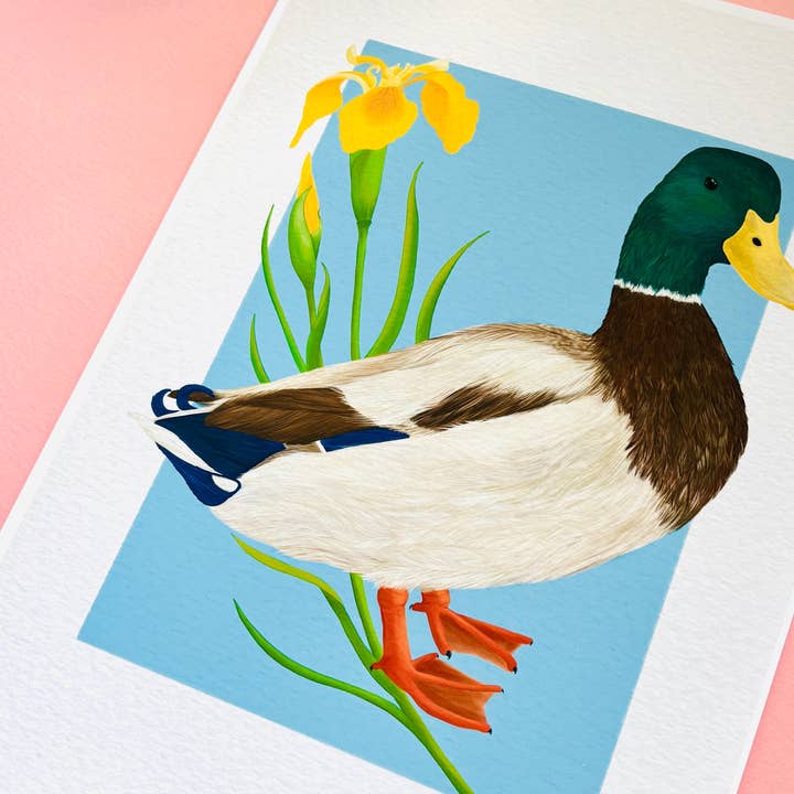 Pixiecraft - Wholesale Art Print - Mallard Duck Art Print- British Wildlife Illustration for Nature Lovers3