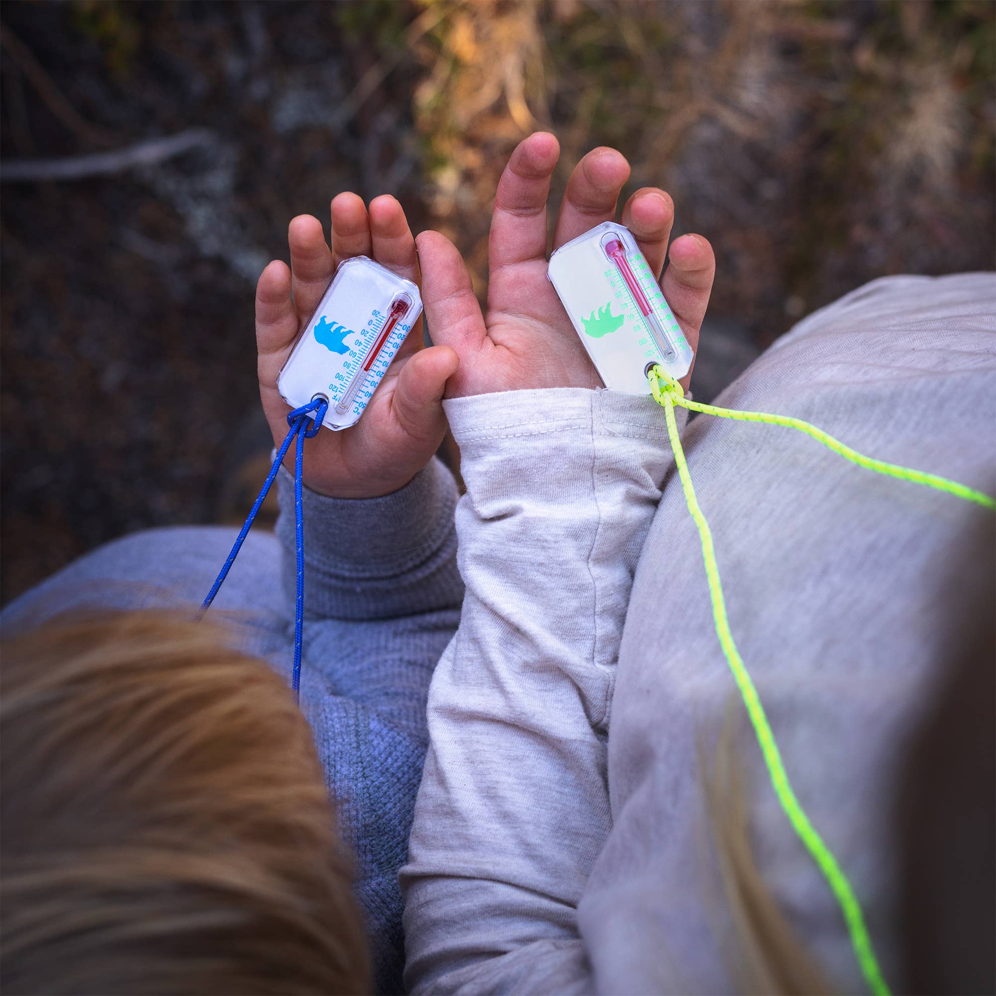 Big Discoveries / Sun Co. - Vente Thermomètre - WildLife Zip-o-Gage - Bear - Thermomètre d'extérieur pour enfants6