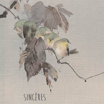 CATCH 12X17 CARTES DOUBLES NC 33725 F pour la vente par Phenicia