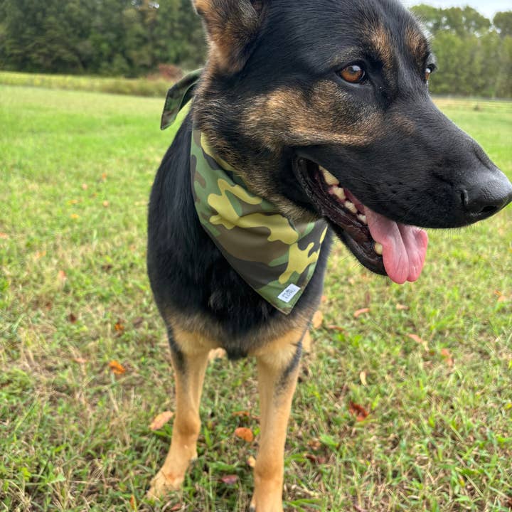 PUP LUX, LLC - Wholesale Pet Bandana - Dog - Into the wild bandana