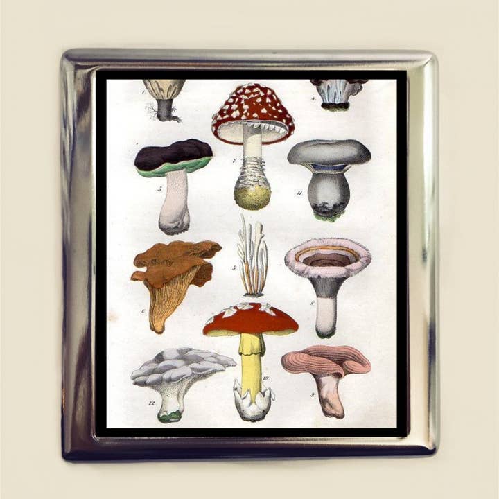 FringePop - Wholesale Cigarette Case - Mushroom Cigarette Case Business Card ID Holder Mycology Fungus from Vintage Lithograph Fungi