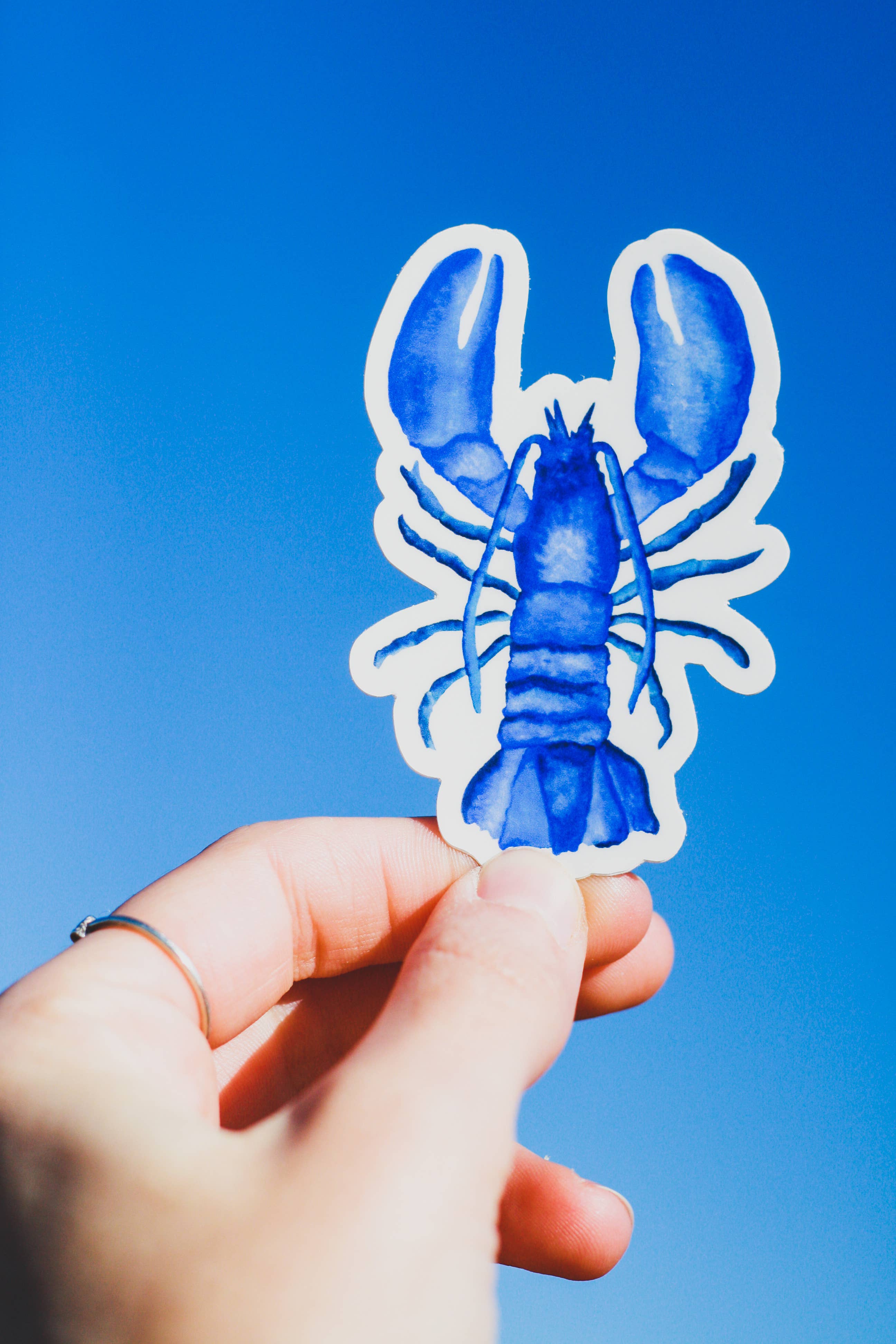 Scribbles and Doodlez - Wholesale Sticker - Nautical Blue Maine Lobster | Watercolor Sticker1