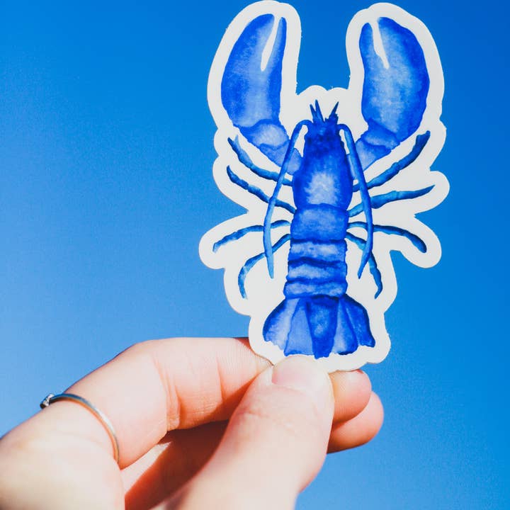 Scribbles and Doodlez - Wholesale Sticker - Nautical Blue Maine Lobster | Watercolor Sticker1
