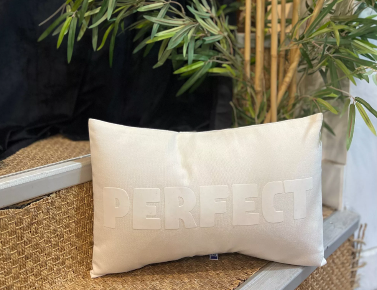 Toiles Chics - Wholesale Throw/Decorative Pillow - Small cushion - Color Collection0