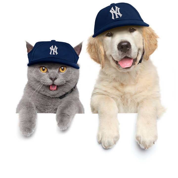 Little Earth Productions - Wholesale Pet Hat - Dog - MLB New York Yankees Pet Baseball Hat