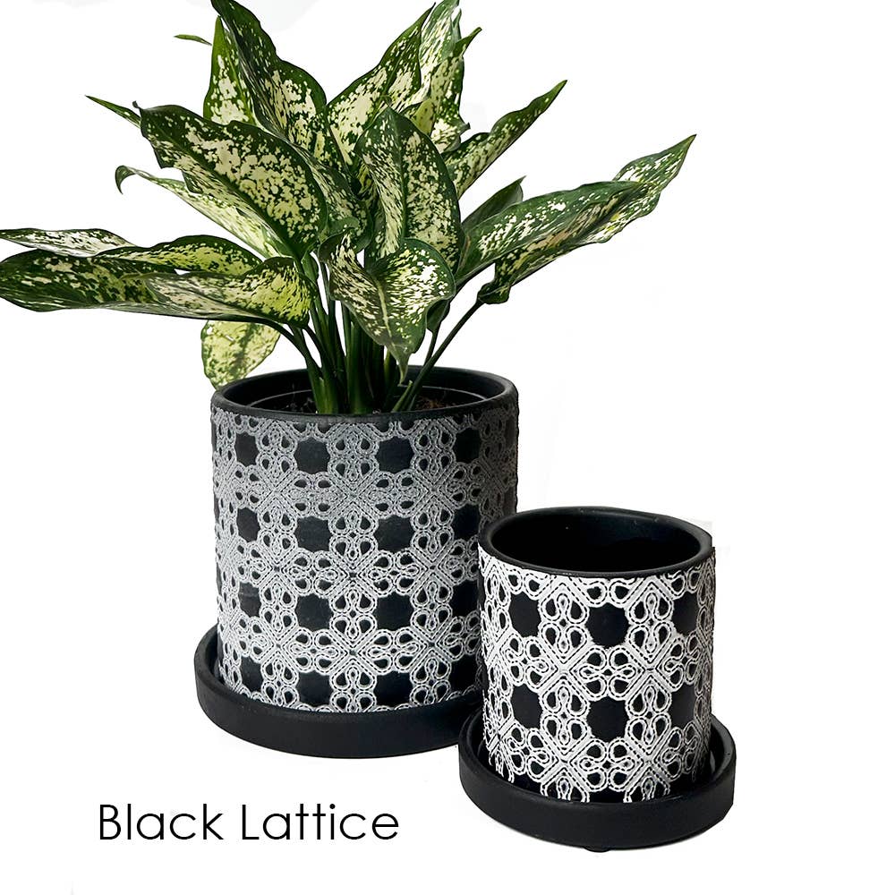 Chive - Wholesale Plant Pot - Balter Succulent Containers Cactus Pot And Saucer16