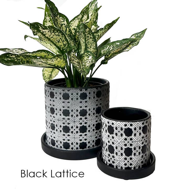 Chive - Wholesale Plant Pot - Balter Succulent Containers Cactus Pot And Saucer16