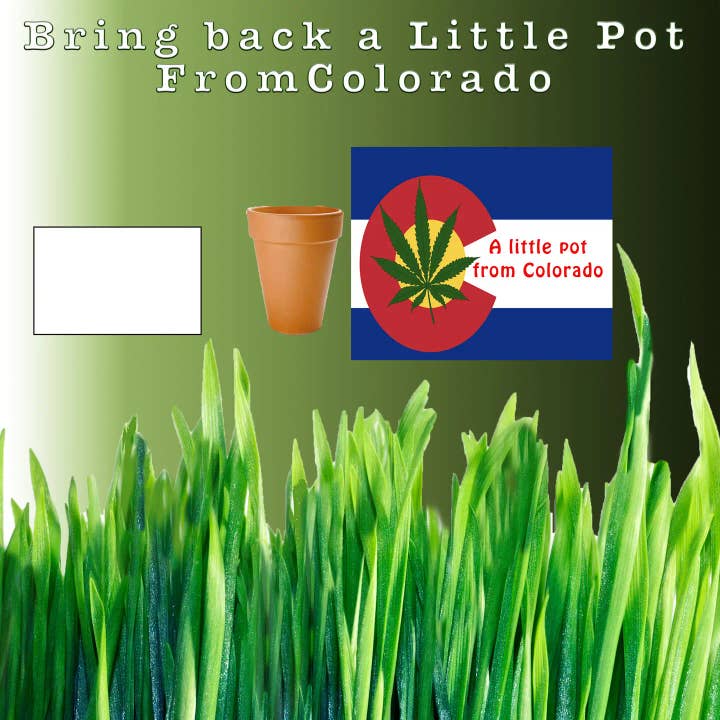 Little Pots from Colorado - Best impulse seller ever! for wholesale by GP Originals